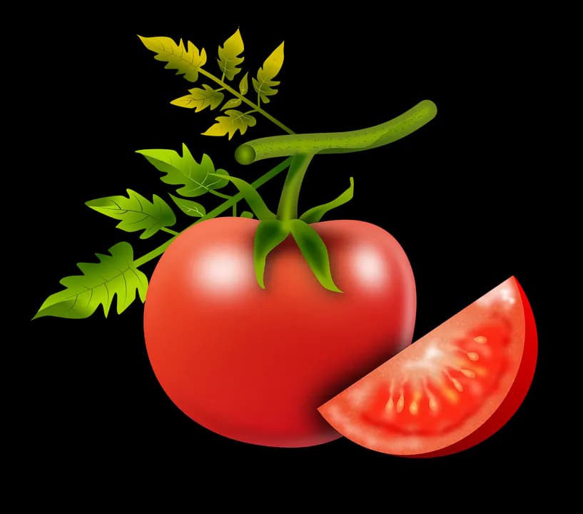 Product's image